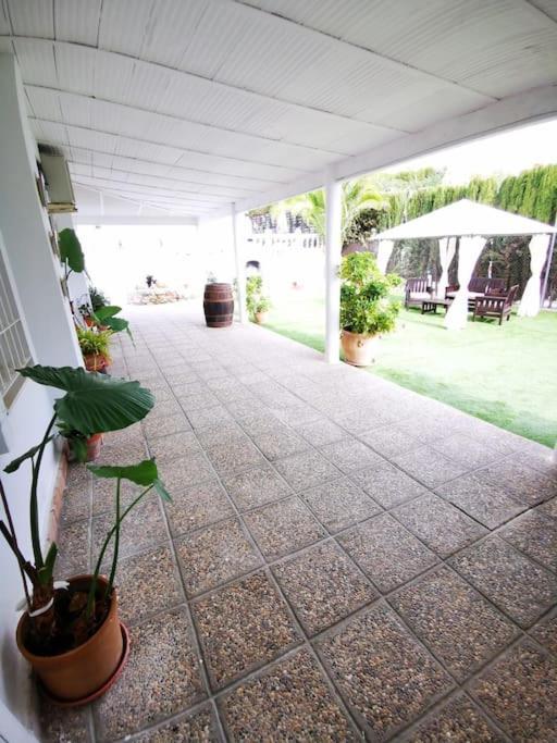Villa Paraiso 埃希哈 外观 照片