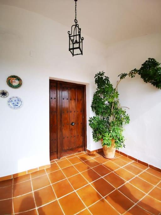 Villa Paraiso 埃希哈 外观 照片